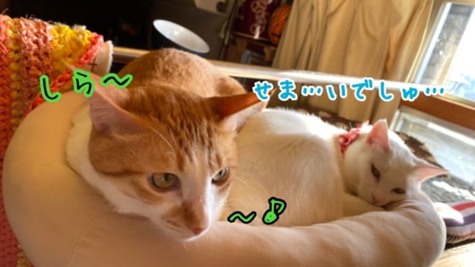 一句詠まれましても…