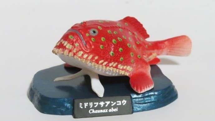 深海魚フィギュア ミドリフサアンコウ