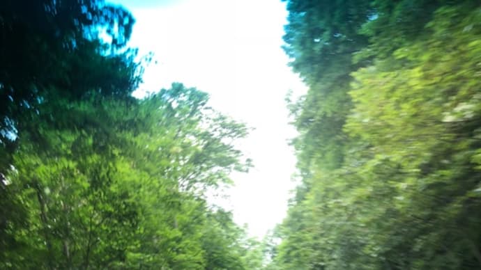 そうだ!車中泊しよう!