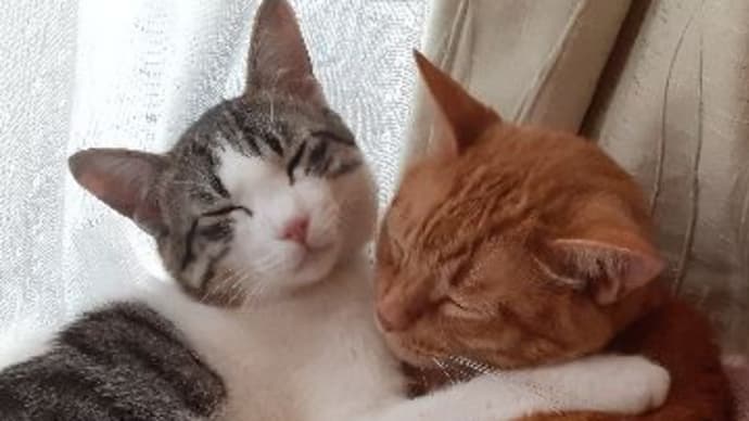人と人とのつながり