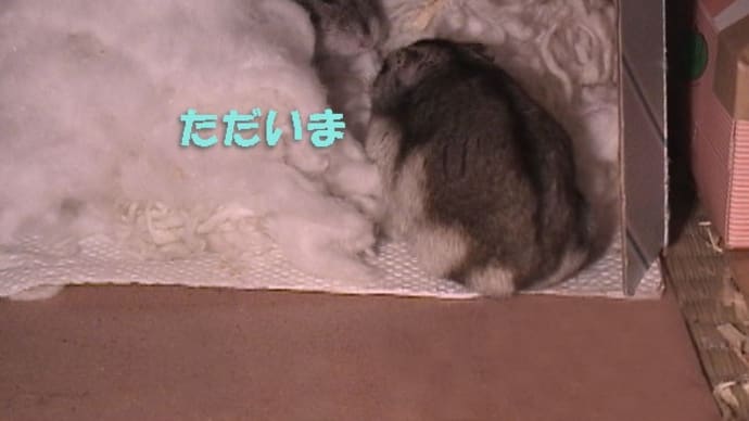 「ただ今働いている職場には内密に」って?