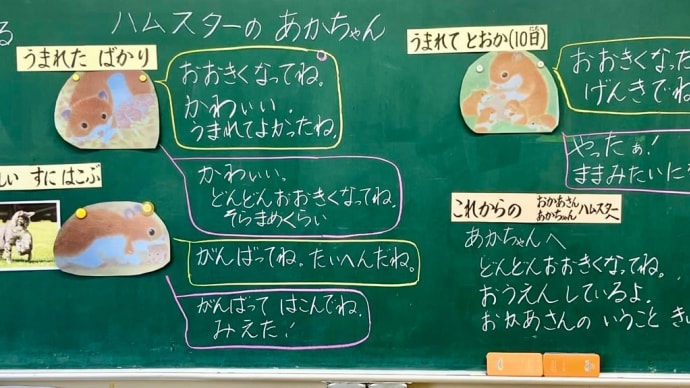 道徳 ハムスターのあかちゃん