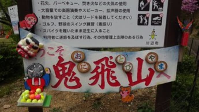 白いイワカガミの鬼飛山 1