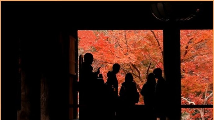 長谷寺の紅葉(奈良県)