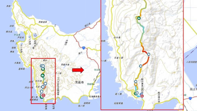 2024年4月初旬日本海花紀行(その6)毛無山、本山 ①