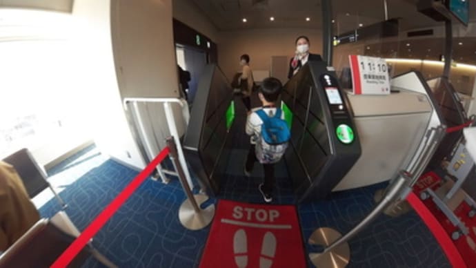 JAL691