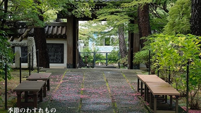 夏のわすれもの・・。