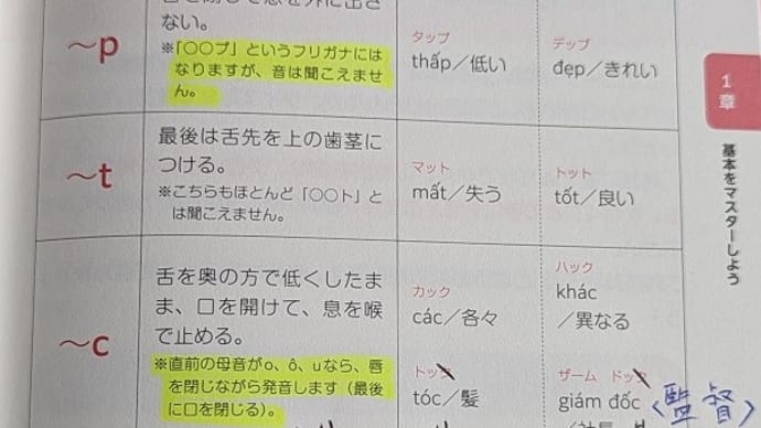 韓国語「耳」の大活躍