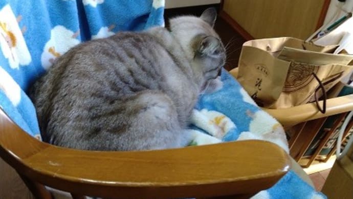 渋滞の先・・・