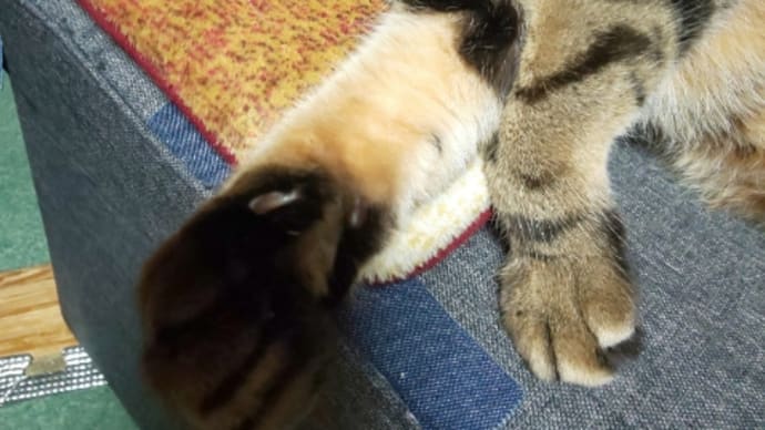 そろそろ