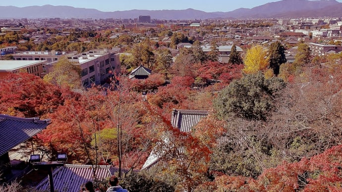 京都の街を一望 写真
