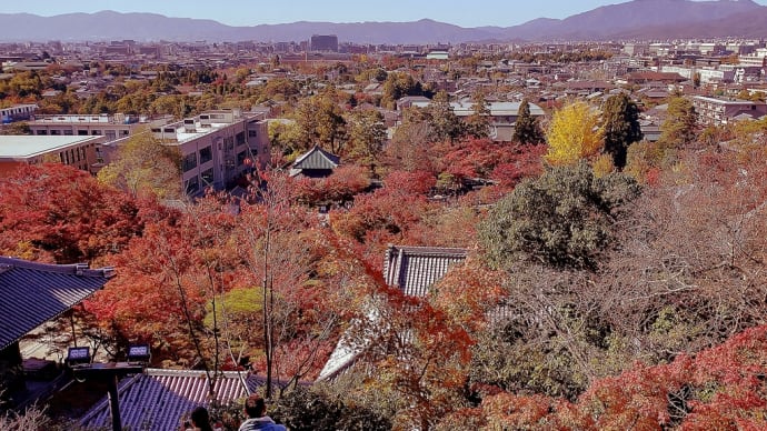 京都の街を一望　写真