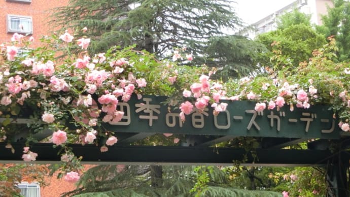 いろいろな草花とバラのコラボ~練馬区:ローズガーデン~
