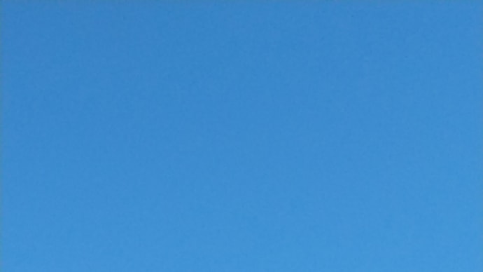 晴れの日曜日