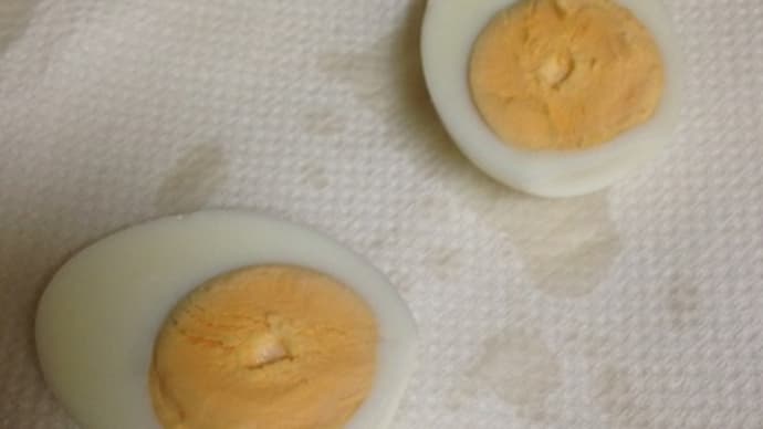 模式図を茹で卵で表現してみたが、洒落ている場合じゃないよ