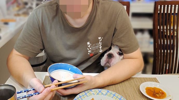 脂質制限してるから食べられないね