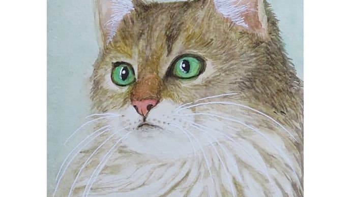絵画販売・水彩画原画「グリーンアイの猫」