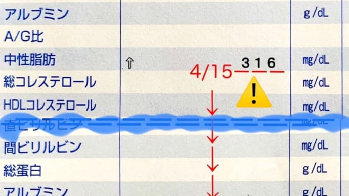 過ぎたるは猶及ばざるが如し、、、