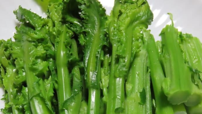 チリメンフユナ（縮緬冬菜）の茹で上げ
