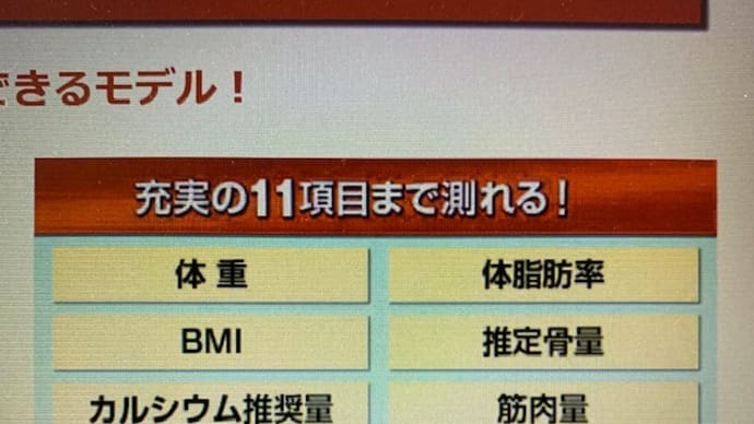新しい相棒