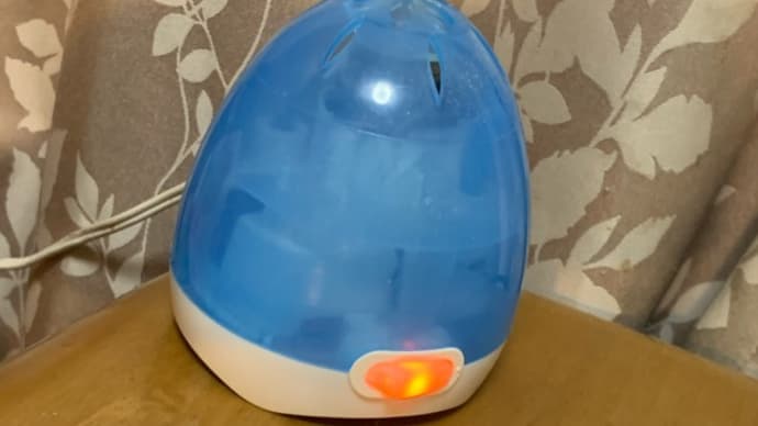 夏の到来は早い?もう蚊に刺された!