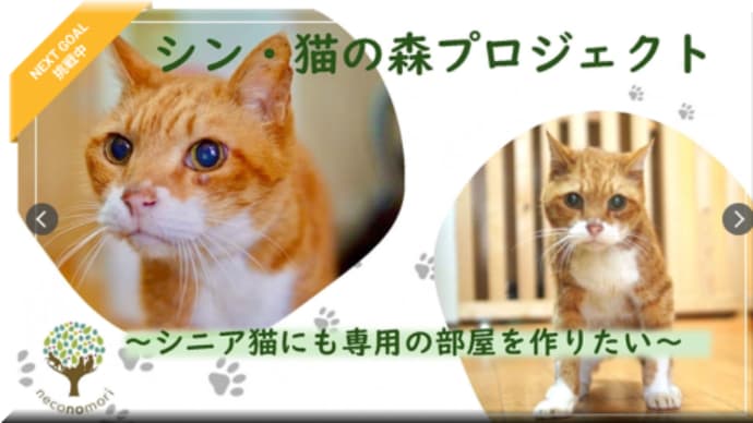 シン・猫の森プロジェクト始動!