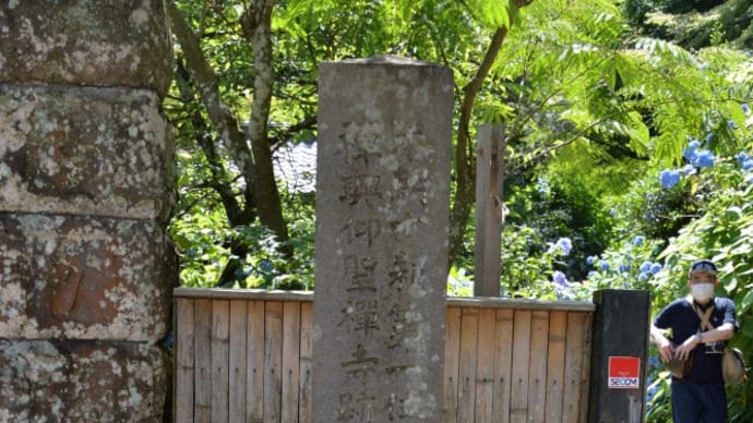 鎌倉市　明月院～紫陽花を求め初訪問そして建長寺へ