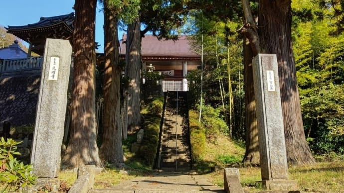 つ、ついに出たー!!!!!