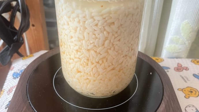 甘麹 作ってます