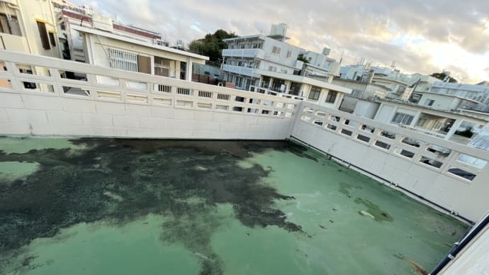 防水工事の塗装前と塗装後の比較