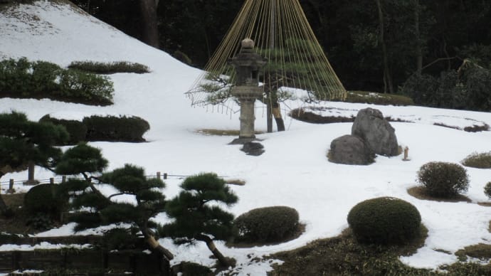 雪吊（ゆきづり）は雪が降って絵になりますね！代表的なものとして石川県金沢市の兼六園が有名！