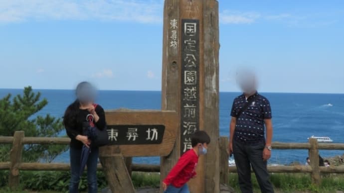 恐竜見た翌日は。