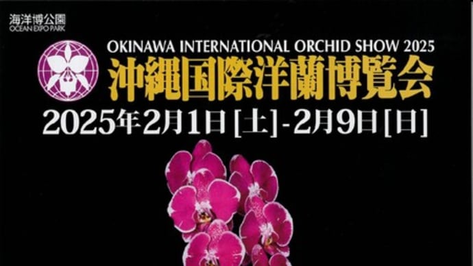 【地元イベント紹介】沖縄国際洋蘭博覧会開催中☆彡生け花展示会場も見ごたえあり!