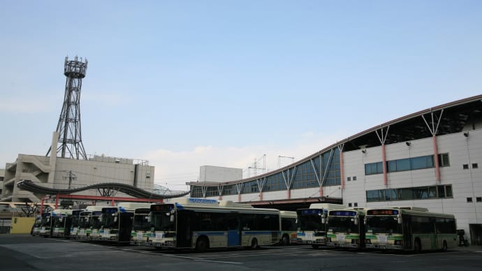 住吉川散策