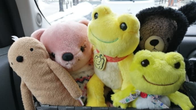 タコスケの通院日と温泉