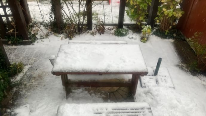 カミナリと雪と雨と?