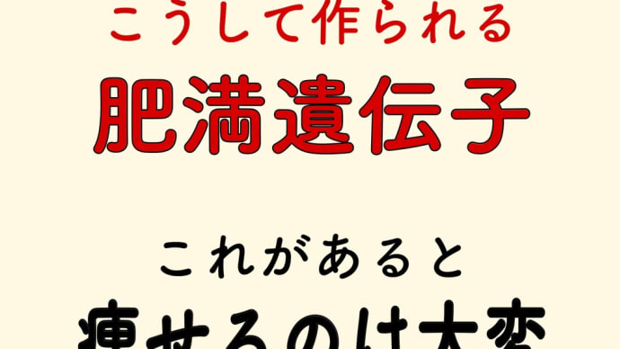 肥満遺伝子 太りやすい
