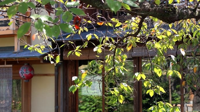 京都・秋の風景「祇園白川」