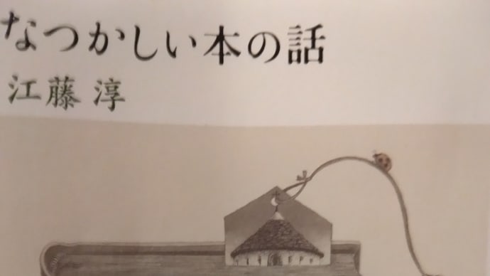 三島由紀夫が待っていた「告白」するに足る内容の挫折の到来-三島由紀夫の『檄』の一文から-