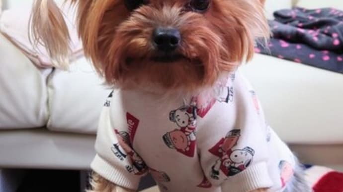 のんびりと(*^▽^*)