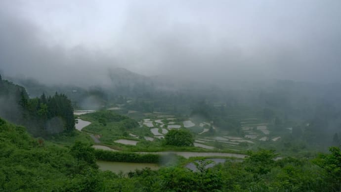 雨の棚田