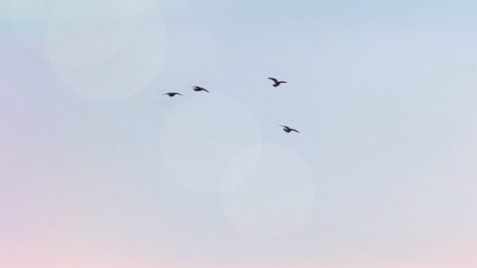 悪天候なのに気持ちが晴れた日