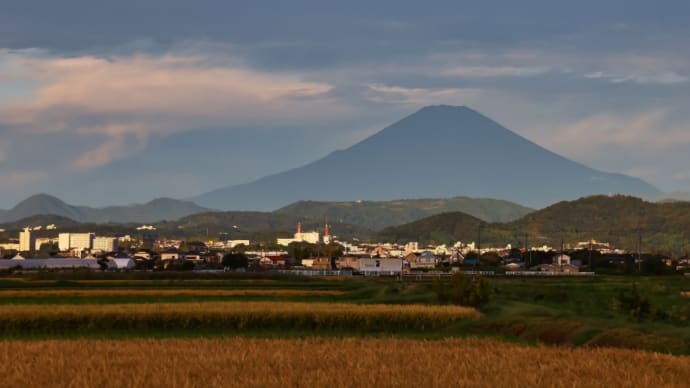 10/Oct 朝の富士山とカワセミとヒバリと夕月