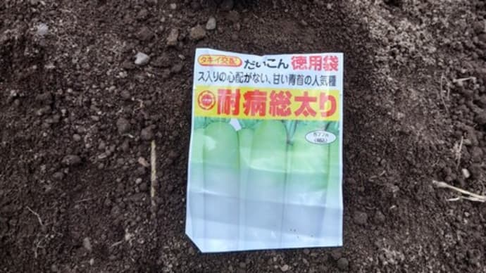 《1》大根の種まき!!