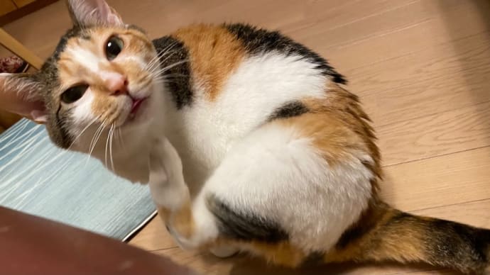 やっと金曜