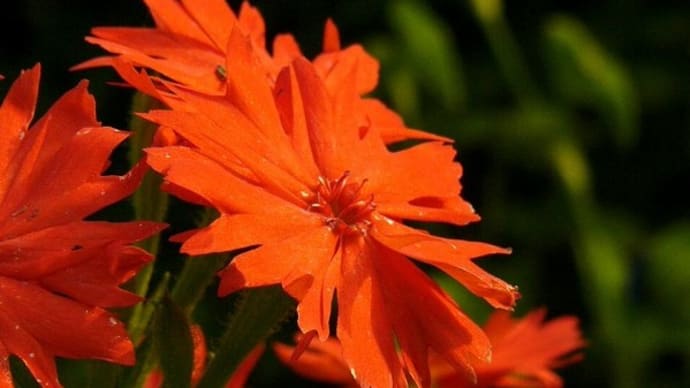 2005.08 -05