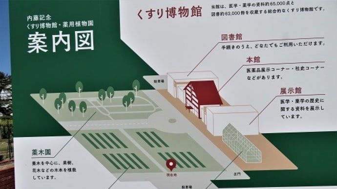 春の薬草園と野鳥
