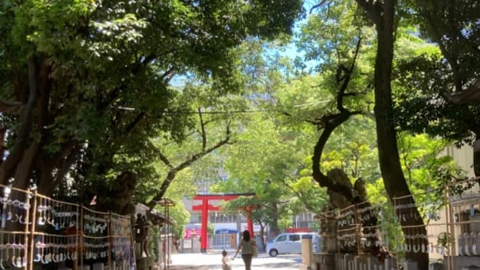 開口神社@夏の開口神社