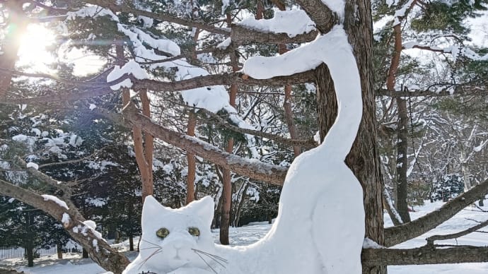 円山・裏参道に来た雪ボーイ⛄️に長いしっぽが自慢のにゃん🐱と元気なリスたちと。～円山公園＆北海道神宮～