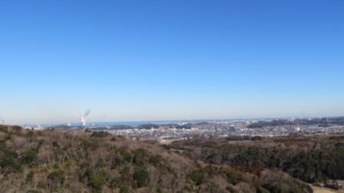 三舟山へ(357回目)イノシシが捕まってしまった